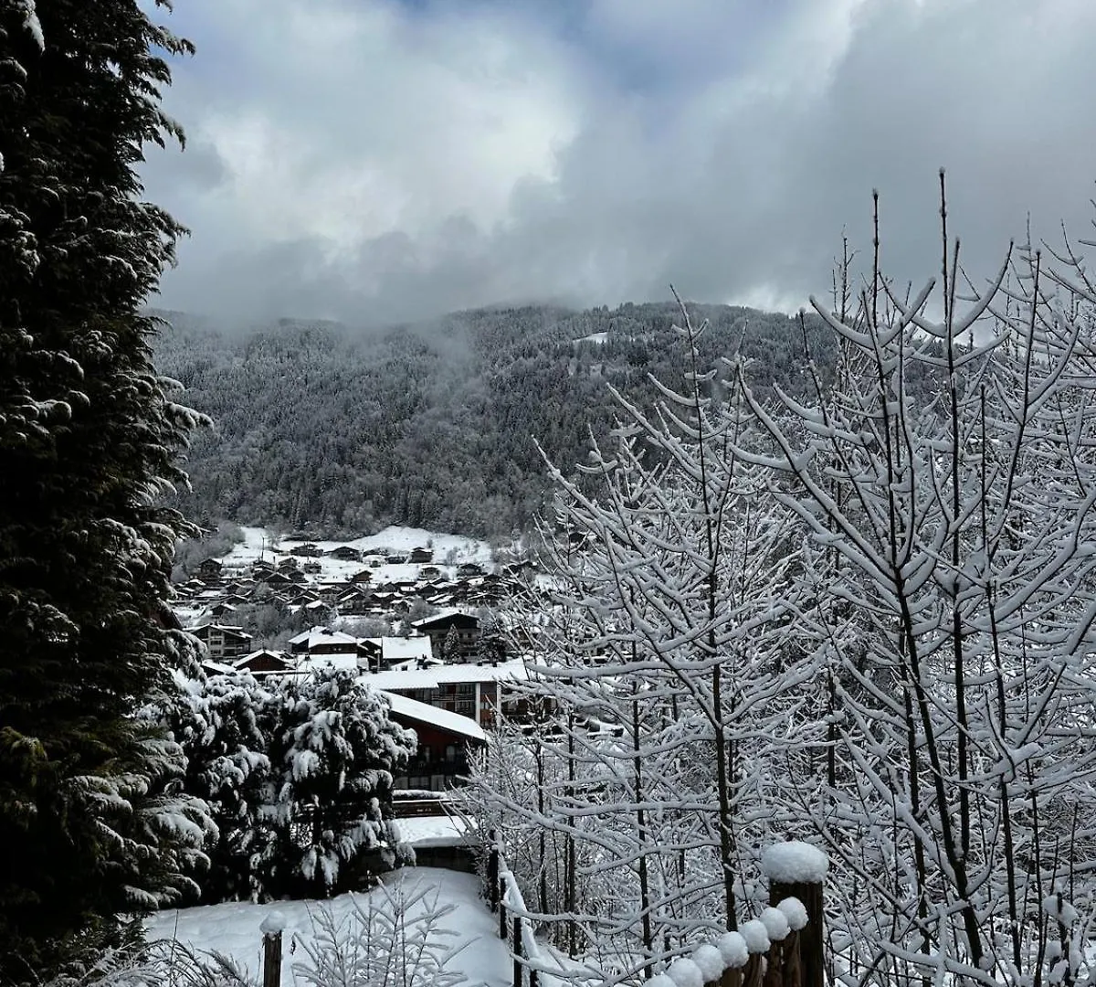 Apartment Charmant Studio A La Montagne Morzine